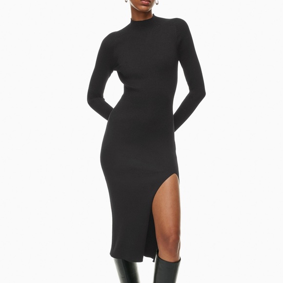 Wilfred Dresses & Skirts - Wilfred Alchemy Dress ribbed long sleeve dress